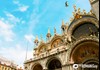 Meet in St. Mark's Square