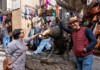 A couple next to the Bronze Boar in Florence.