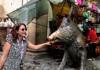 A woman in front of the Bronze Boar in Florence.