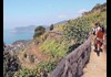 Cinque Terre Cliffside winery