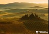 Rolling Hills of Chianti