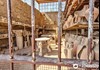 Amazing Preservation
