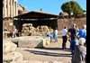 An image of the Temple of Julius Caesar in the Roman Forum.