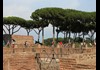 An image of the Palatine Hill.