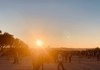 sundown