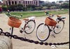 Circus Maximus