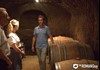 Winery