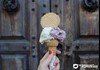 Gelateria Break