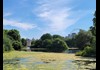 An image of St. James Park in London with The London Eye in the background.