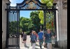 A group of tourists walking into Buckingham Palace with their guide from The Tour Guy.